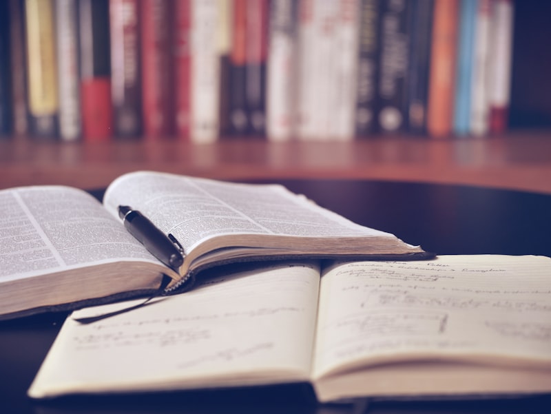 NOVU ReadClip LED book light clipped onto an open book at night